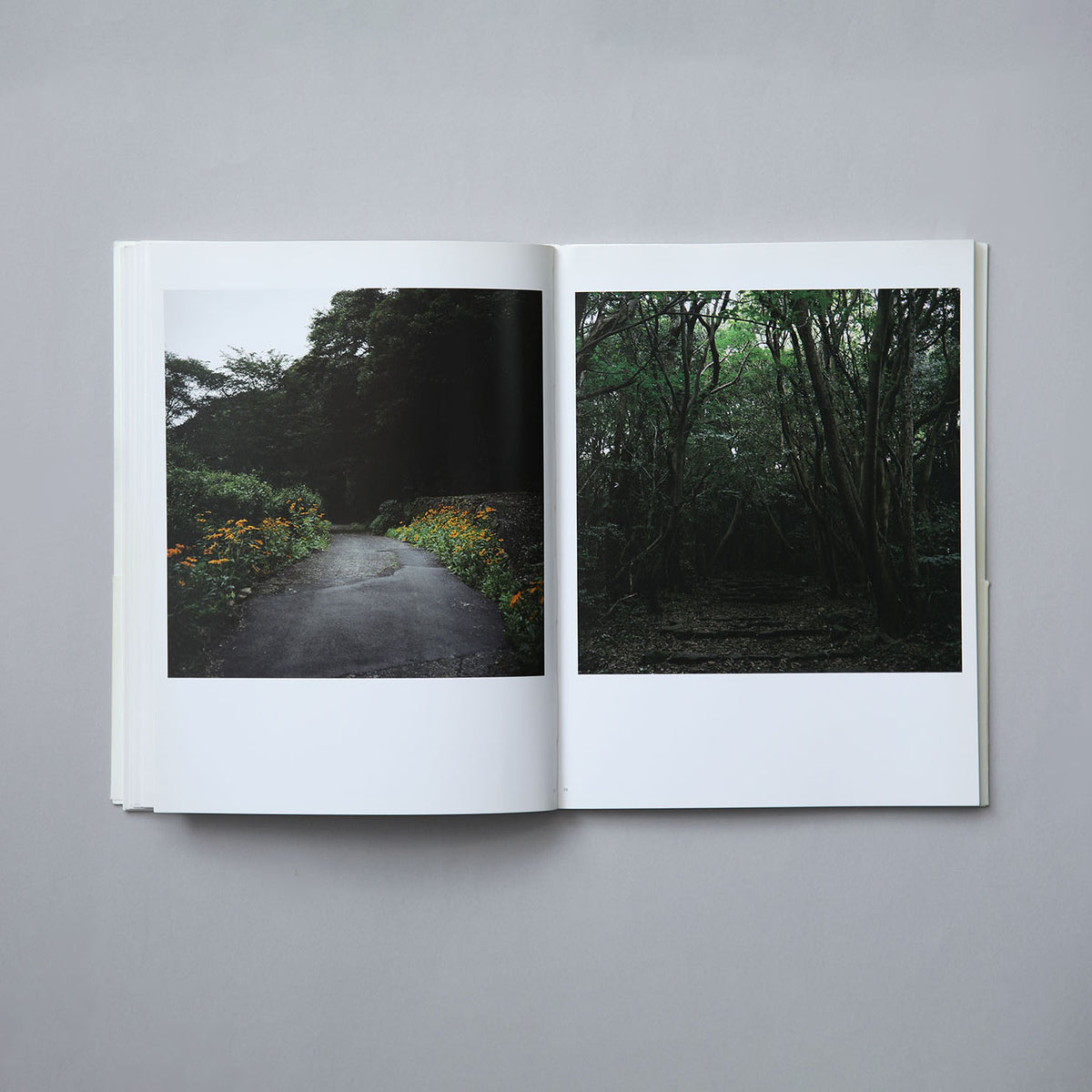 On Photography