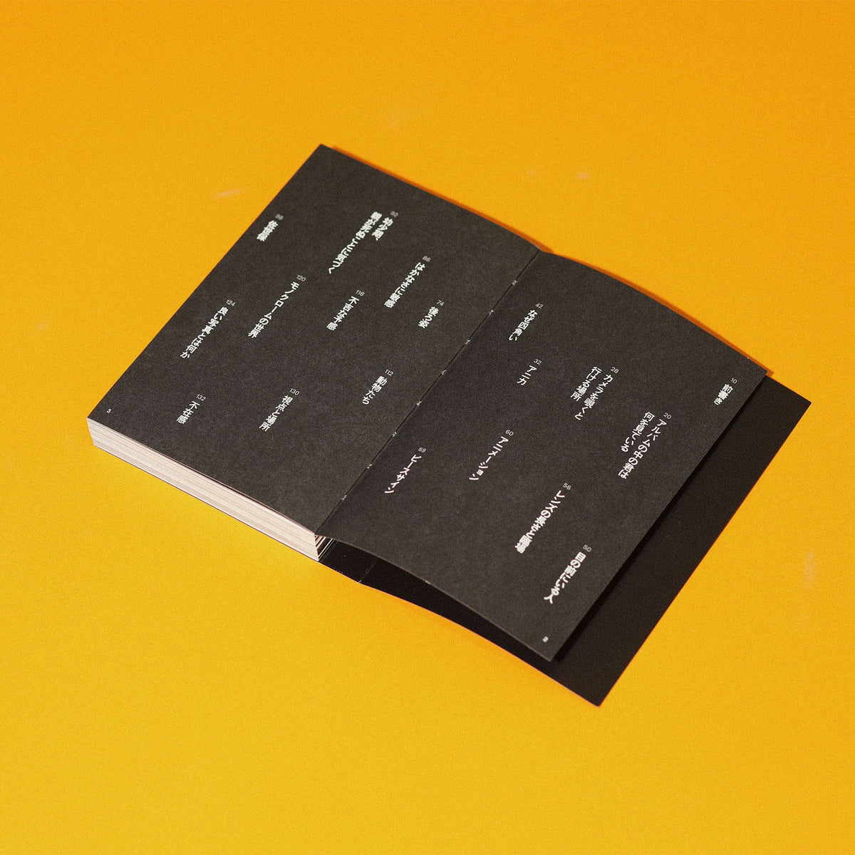 What are you looking at from inside the photograph [New Edition] 
